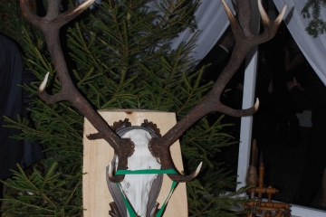 Bal-Myliwych-26.01.2013-461