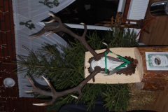 image046