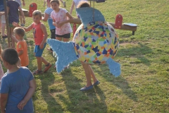 SONY DSC