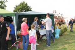 IMG_7741-Copy