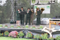 IMG_7810-Copy