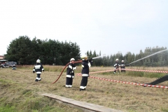 IMG_8016-Copy