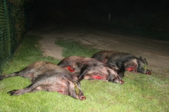 image051