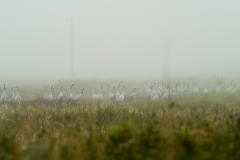 DSC5616