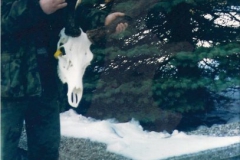 u