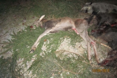 image069