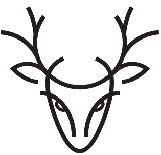 Zmiana kryteriów odstrzału byków jelenia szlachetnego